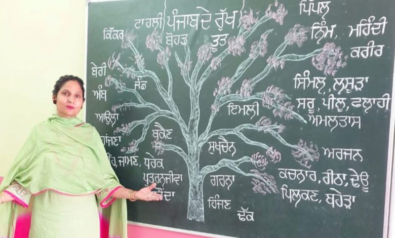 पंजाब सरकार की दूरदर्शी नीतियों का परिणाम: सरकारी स्कूल की शिक्षिका ने सोशल मीडिया पर जगाई पंजाबी भाषा की अलख, कईं हज़ार फॉलोअर्स तक पहुंची मातृभाषा की आवाज़