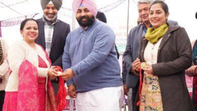 पंजाब की सबसे बड़ी मेगा PTM में 23 लाख से अधिक अभिभावकों की सक्रियता ने रचा नया कीर्तिमान, मान सरकार के विधायकों ने 7500 स्कूलों में परखा शिक्षा का स्तर