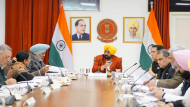 पंजाब कैबिनेट: मान सरकार ने किसानों को बड़ी राहत दी, गन्ने पर 68.50 रुपये प्रति क्विंटल की सब्सिडी को मंजूरी दी