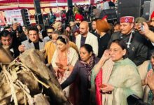 डॉ. बलजीत कौर: 5,100 नवजात लड़कियों के लिए मनाई गई लोहड़ी: बेटी बचाओ-बेटी पढ़ाओ का सशक्त संदेश