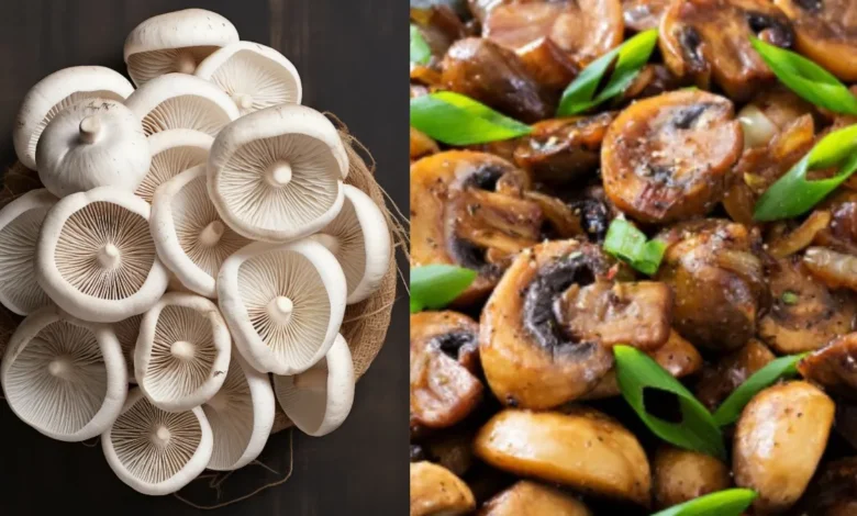 सेहत के लिए वरदान: मशरूम, बूस्ट कर सकता है इम्यूनिटी और शरीर को मिले ढेर सारे फायदे