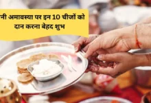 Mauni Amavasya Daan 2026: मौनी अमावस्या पर करें ये 10 शुभ दान