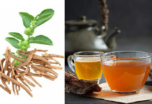 अश्वगंधा की चाय के फायदे, बीमारियों में असर और इसे बनाने का आसान तरीका जानिए