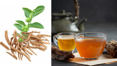 अश्वगंधा की चाय के फायदे, बीमारियों में असर और इसे बनाने का आसान तरीका जानिए