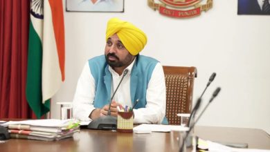 2025 में पंजाब प्रशासन में बड़ा डिजिटल बदलाव: 1.85 लाख लोगों को घर बैठे मिलीं 437 सेवाएं, मान सरकार ने खत्म किया दफ्तरों का चक्कर