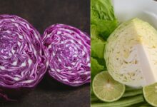 बैंगनी पत्तागोभी या हरी पत्तागोभी: जानें कौन सी है सेहत के लिए सबसे फायदेमंद