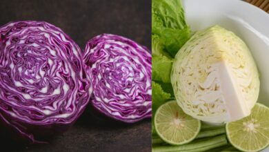 बैंगनी पत्तागोभी या हरी पत्तागोभी: जानें कौन सी है सेहत के लिए सबसे फायदेमंद