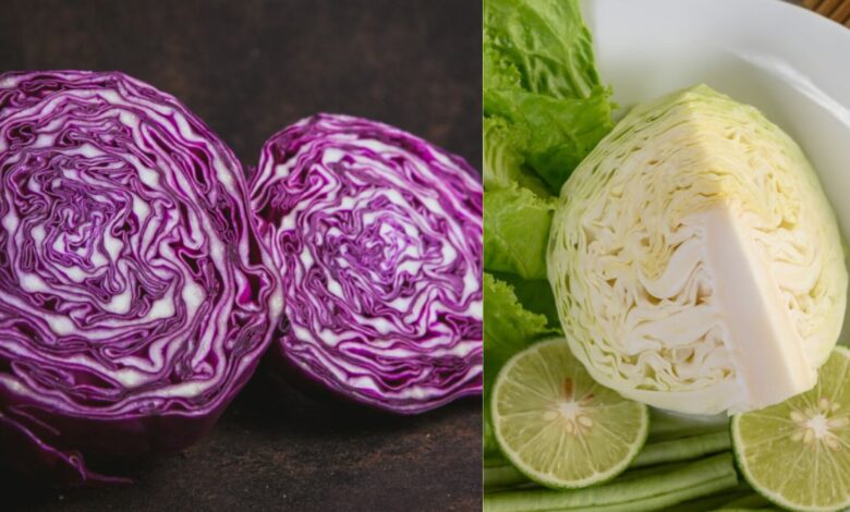 बैंगनी पत्तागोभी या हरी पत्तागोभी: जानें कौन सी है सेहत के लिए सबसे फायदेमंद
