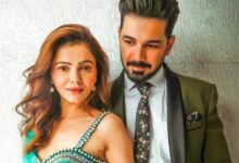 क्या दूसरी बार प्रेग्नेंट हुईं रुबीना दिलैक? वायरल वीडियो ने मचाई हलचल