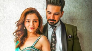 क्या दूसरी बार प्रेग्नेंट हुईं रुबीना दिलैक? वायरल वीडियो ने मचाई हलचल