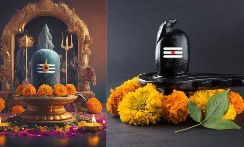 Shivling Puja: सोमवार को शिवलिंग की पूजा करते समय न करें ये गलतियां, जानें सही नियम