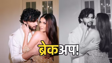 तारा सुतारिया (Tara Sutaria) और वीर पहाड़िया (Veer Pahariya) का ब्रेकअप, एपी ढिल्लों कॉन्सर्ट वीडियो बनी वजह