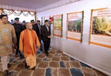 सीएम योगी आदित्यनाथ ने मच्छर और माफिया की तुलना की, कहा- एक शरीर को अस्वस्थ करता है, दूसरा समाज को