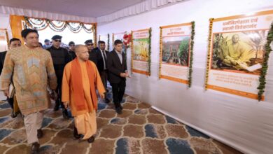 सीएम योगी आदित्यनाथ ने मच्छर और माफिया की तुलना की, कहा- एक शरीर को अस्वस्थ करता है, दूसरा समाज को