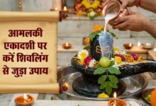 Aamlaki Ekadashi 2026: शिवलिंग पर चढ़ाएं ये चीजें, जागेगा सोया भाग्य