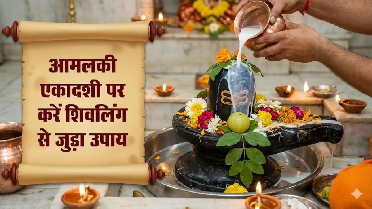 Aamlaki Ekadashi 2026: शिवलिंग पर चढ़ाएं ये चीजें, जागेगा सोया भाग्य