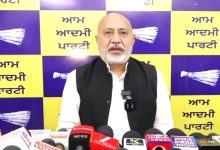 आप' की ऐतिहासिक जीत: बलतेज पन्नू ने शराब घोटाले के फैसले को बताया सच्चाई की जीत