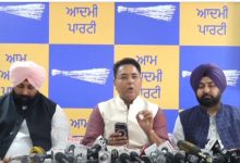 AAP नेता अमन अरोड़ा चंडीगढ़ में प्रेस कॉन्फ्रेंस के दौरान BJP की झूठ की राजनीति और कोर्ट के फैसले पर बयान देते हुए।