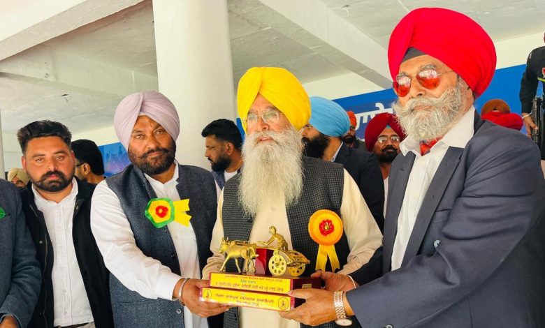 कृषि मंत्री गुरमीत सिंह खुदियान ने 86वें किला रायपुर ग्रामीण ओलंपिक का उद्घाटन किया।