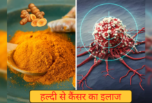 कैंसर में हल्दी कितनी फायदेमंद है और इसे कैसे लें – आयुर्वेदिक डॉक्टर की सलाह