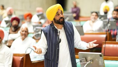 पंजाब विधानसभा में भगवंत सिंह मान ने बजट बहस के दौरान भाषण देते हुए
