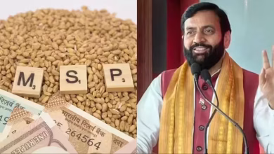 मुख्यमंत्री नयाब सैनी ने किसानों के लिए MSP फसल खरीद और तेज भुगतान की घोषणा की