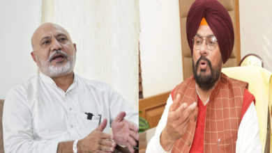 AAP पंजाब नेता अरविंद केजरीवाल के साथ जंतर-मंतर रैली में जनता को संबोधित करते हुए।