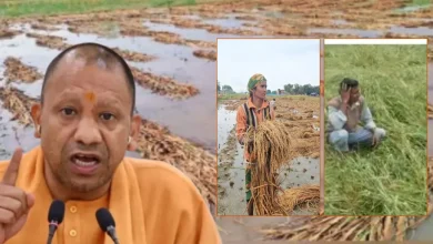 उत्तर प्रदेश बारिश नुकसान मुआवजा CM योगी
