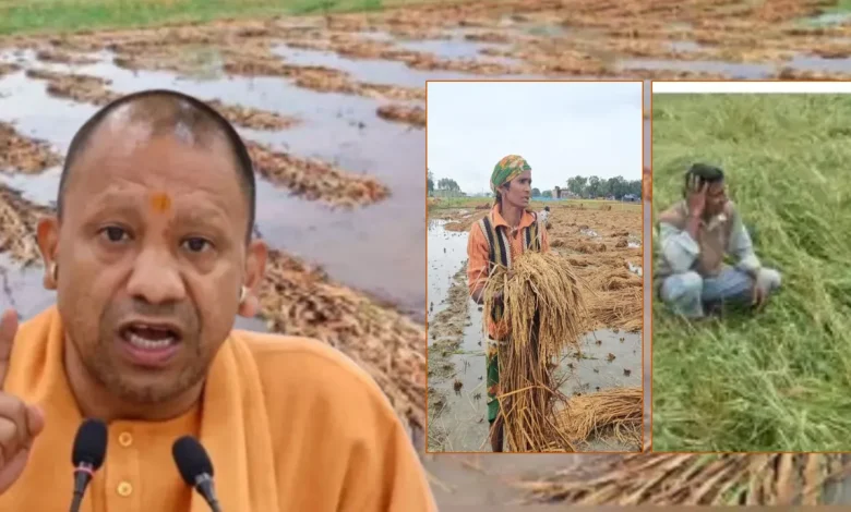 उत्तर प्रदेश बारिश नुकसान मुआवजा CM योगी