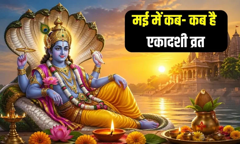 मई एकादशी 2026 में भगवान विष्णु पूजा और अपरा व पद्मिनी एकादशी का शुभ दृश्य