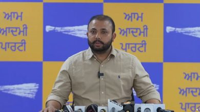 आप यूथ विंग ‘शानदार 4 साल, भगवंत मान दे नाल’ मुहिम को हर गांव और वार्ड तक ले जाएगी: परमिंदर गोल्डी