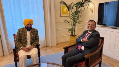 पंजाब–फिनलैंड सहयोग सीएम भगवंत मान बैठक उद्योग शिक्षा तकनीकी साझेदारी चर्चा