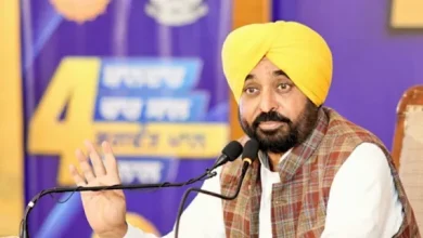 पंजाब किसानों के लिए दिन में बिजली, मान सरकार की नई कृषि सुविधा
