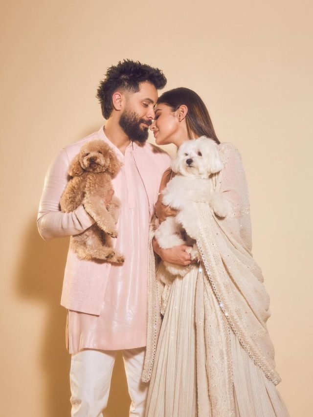 शादी के 4 साल बाद क्या प्रेग्नेंट हैं Mouni Roy? दुपट्टे से पेट छिपाती दिखीं, वायरल वीडियो से बढ़ी चर्चा