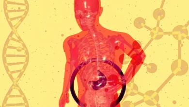 फैटी लिवर के कारण और इलाज दर्शाता मेडिकल इन्फोग्राफिक जिसमें लिवर में फैट जमा होने की स्थिति दिखाई गई है