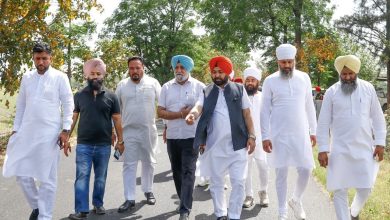 पंजाब सरकार का राहत पैकेज ओलावृष्टि से खराब फसलों के लिए ₹123 करोड़ मुआवजा