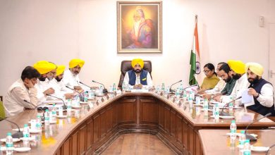 कैबिनेट बैठक की अध्यक्षता करते हुए मुख्यमंत्री भगवंत मान (Bhagwant Mann)