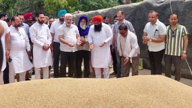 पंजाब की मंडियों में 28 लाख मीट्रिक टन गेहूं की आमद, 24 लाख मीट्रिक टन से अधिक की खरीद : लाल चंद कटारूचक्क