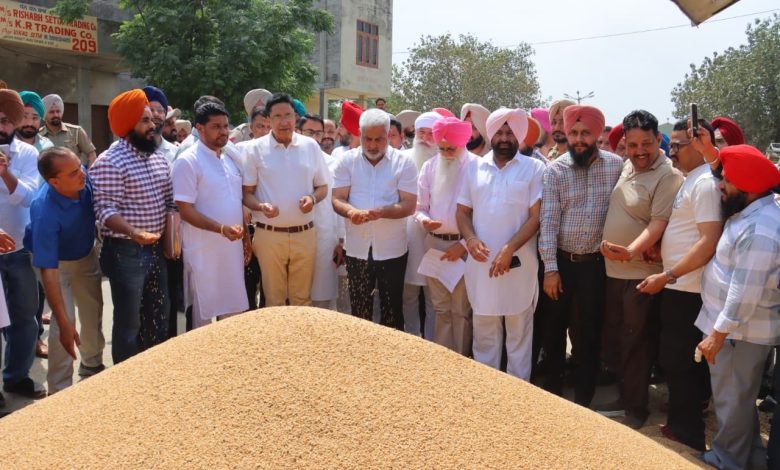 खाद्य एवं नागरिक आपूर्ति मंत्री लाल चंद कटारूचक्क ने भगतांवाला अनाज मंडी में चल रही गेहूं खरीद का लिया जायजा