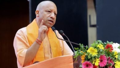 दिल्ली-देहरादून एक्सप्रेसवे के उद्घाटन के दौरान सहारनपुर में सीएम योगी का संबोधन और जनसभा की तस्वीर।