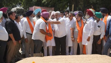 गुरदासपुर अनाज मंडी पहुंचे कैबिनेट मंत्री लाल चंद कटारूचक्क, खरीद व्यवस्था का लिया जायजा