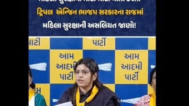 महिला सुरक्षा गुजरात: AAP नेता पायल साकरिया का बड़ा आरोप, भाजपा के दावे को बताया खोखला