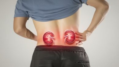 kidney Disease Early Symptoms: किडनी डैमेज के शुरुआती संकेत: इन लक्षणों को न करें नजरअंदाज, धीरे-धीरे बिगड़ सकती है किडनी की हालत