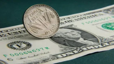 Rupee vs Dollar: RBI के फैसले से रुपये में जोरदार उछाल, डॉलर के मुकाबले 50 पैसे मजबूत