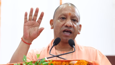 अलीगढ़ में सीएम योगी आदित्यनाथ के दौरे की तैयारी के तहत नगर निगम द्वारा सफाई और विकास कार्य करते कर्मचारी।