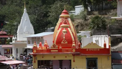 कैंची धाम स्थापना दिवस पर मालपुआ प्रसाद वितरित करते श्रद्धालु और लंबी कतार में भक्त नीम करोली बाबा का आशीर्वाद लेते हुए