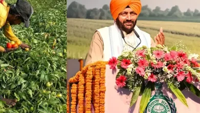 पंचायती भूमि पर जैविक खेती को बढ़ावा देने के लिए हरियाणा सरकार बनाएगी विशेष नीति