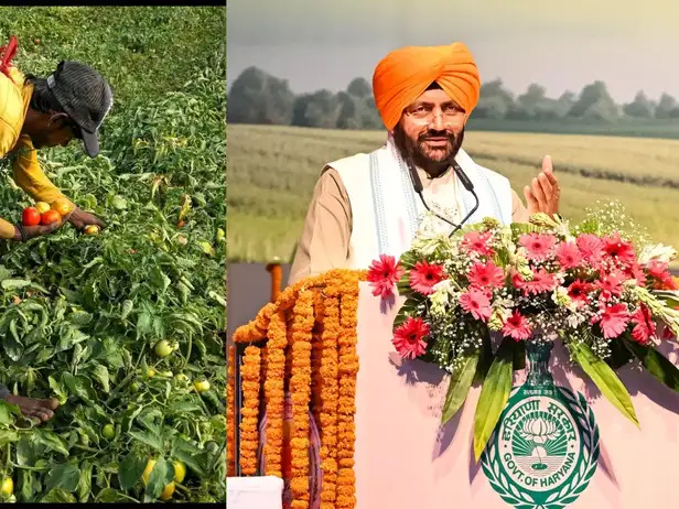 पंचायती भूमि पर जैविक खेती को बढ़ावा देने के लिए हरियाणा सरकार बनाएगी विशेष नीति