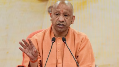सीएम योगी आदित्यनाथ पीएम मोदी द्वारा मुरादाबाद के कारीगरों का ब्रास टर्टल उपहार दिए जाने पर बयान देते हुए