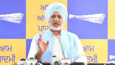 Congress, BJP and Akali Dal Have Formed ‘Team A, B, C’ to Target CM Bhagwant - Baltej Pannu